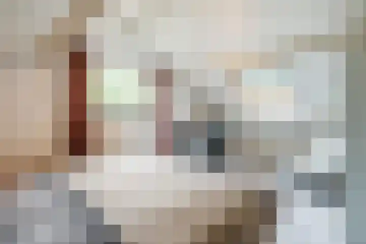 Koppelen 22 Steensel thumbnail 40