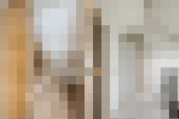 Koppelen 22 Steensel thumbnail 42
