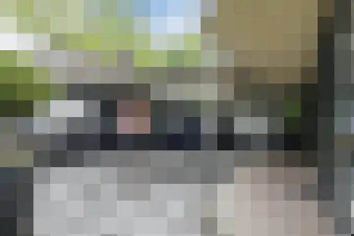 Koppelen 22 Steensel thumbnail 49