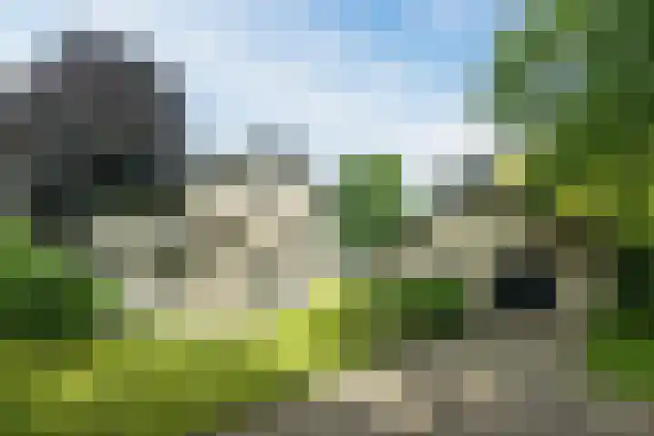 Koppelen 22 Steensel thumbnail 5