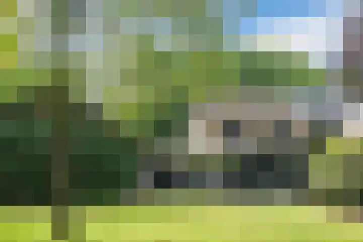 Koppelen 22 Steensel thumbnail 50