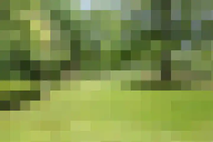 Koppelen 22 Steensel thumbnail 51