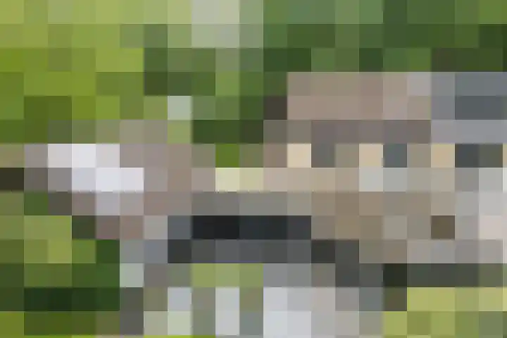 Koppelen 22 Steensel thumbnail 56