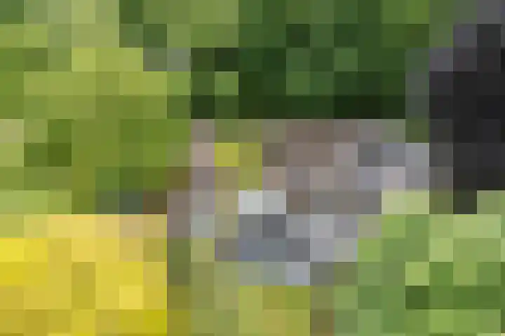 Koppelen 22 Steensel thumbnail 57