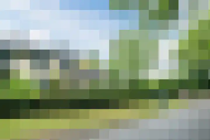Koppelen 22 Steensel thumbnail 6