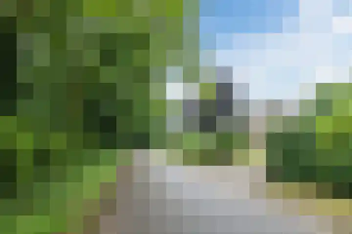 Koppelen 22 Steensel thumbnail 61
