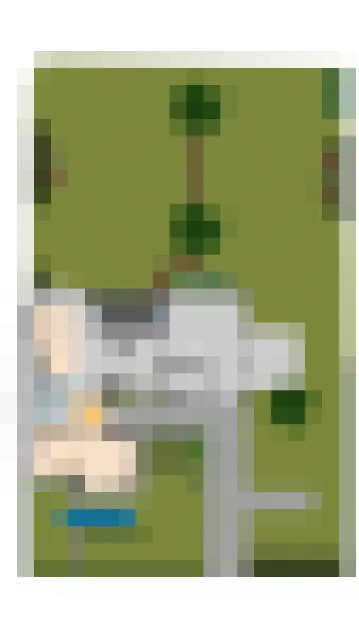 Koppelen 22 Steensel thumbnail 65