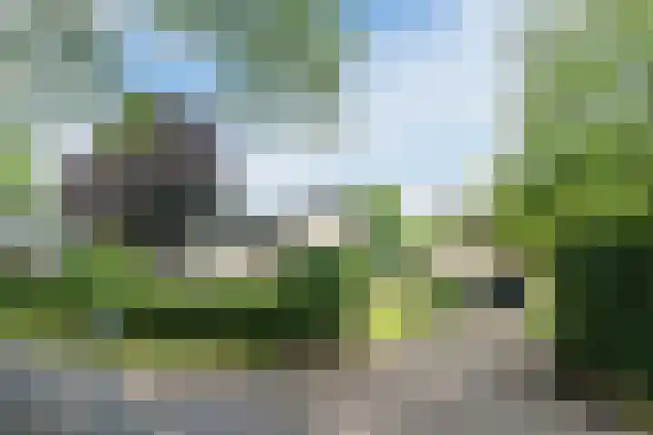 Koppelen 22 Steensel thumbnail 68