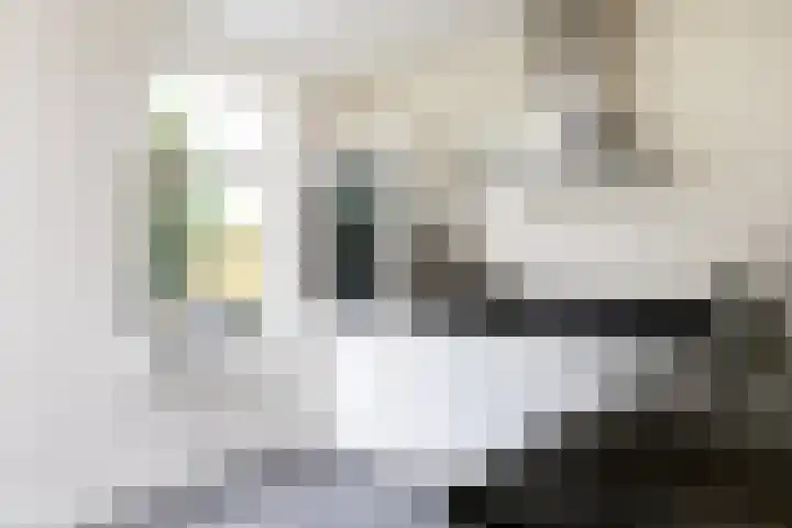 Koppellaan 3 Bilthoven thumbnail 19