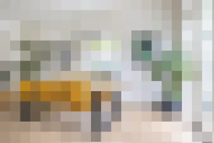 Koppellaan 3 Bilthoven thumbnail 22