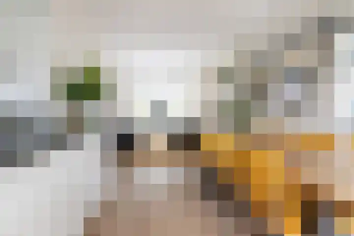 Koppellaan 3 Bilthoven thumbnail 24