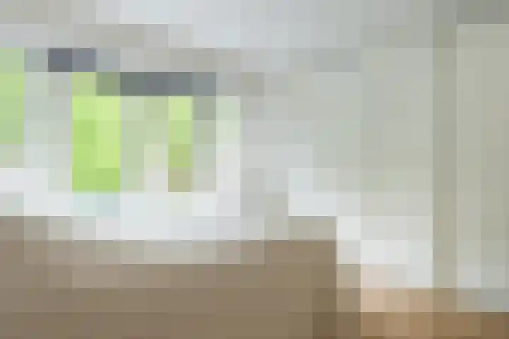 Koppellaan 3 Bilthoven thumbnail 29