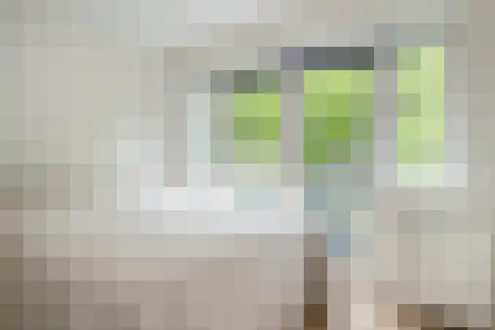 Koppellaan 3 Bilthoven thumbnail 30