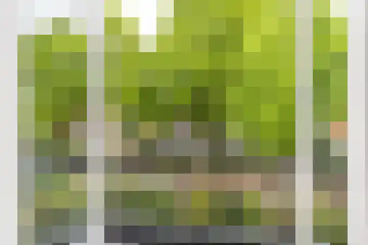 Koppellaan 3 Bilthoven thumbnail 31
