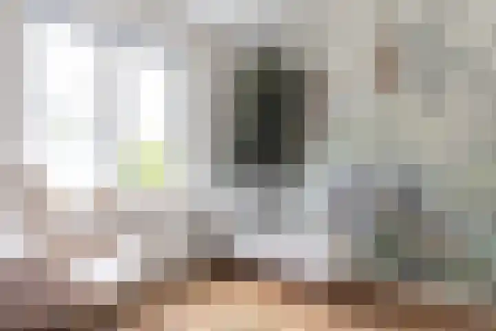 Koppellaan 3 Bilthoven thumbnail 33