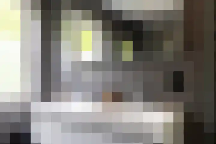 Koppellaan 3 Bilthoven thumbnail 39