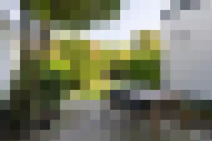 Koppellaan 3 Bilthoven thumbnail 43