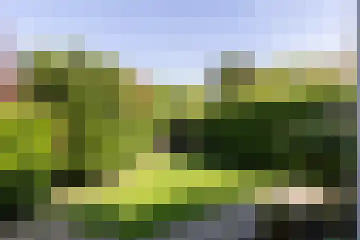 Koppellaan 3 Bilthoven thumbnail 44