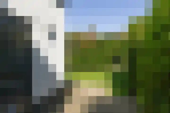 Koppellaan 3 Bilthoven thumbnail 45