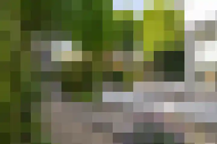 Koppellaan 3 Bilthoven thumbnail 53