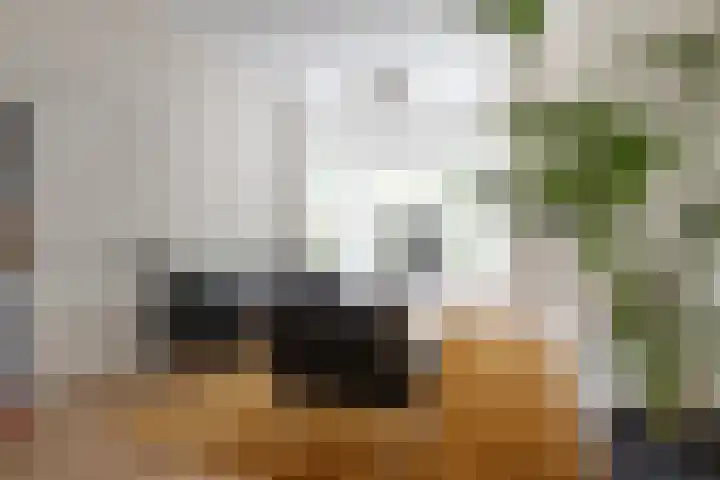 Koppellaan 3 Bilthoven thumbnail 8