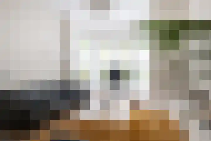 Koppellaan 3 Bilthoven thumbnail 9