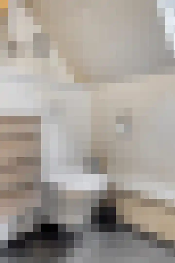 Koppelstraat 2 Putte thumbnail 34