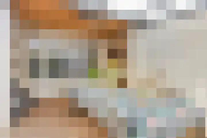 Koppelstraat 2 Putte thumbnail 42