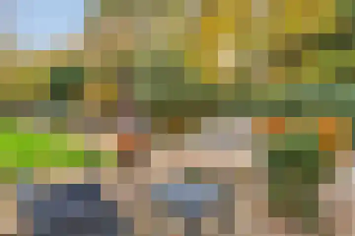 Koppelstraat 2 Putte thumbnail 44