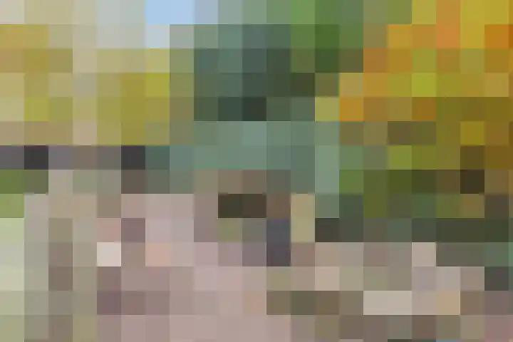 Koppelstraat 2 Putte thumbnail 48