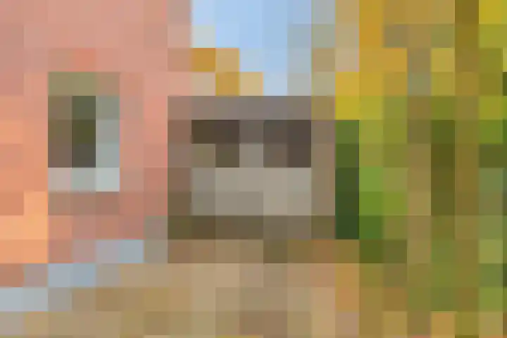 Koppelstraat 2 Putte thumbnail 55