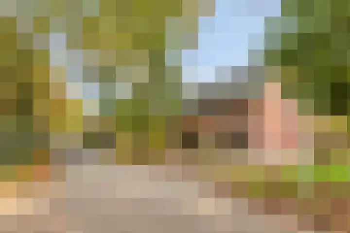 Koppelstraat 2 Putte thumbnail 56