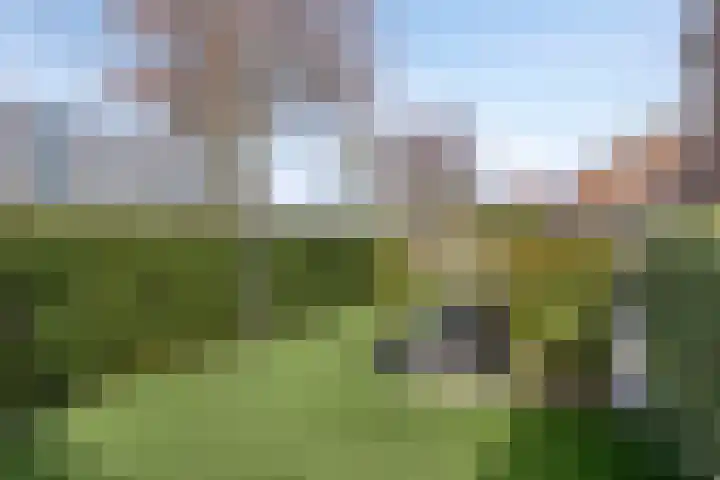 Koppelweg 1 Doesburg thumbnail 41
