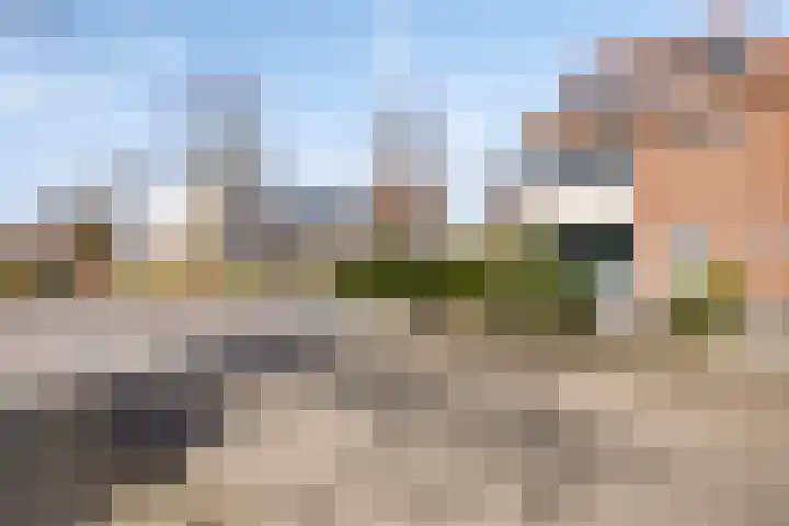 Koppelweg 1 Doesburg thumbnail 6