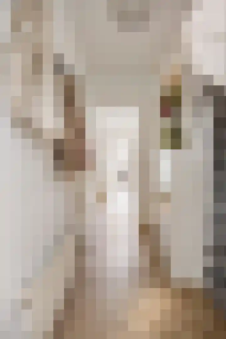 Koppelweg 1 Doesburg thumbnail 7