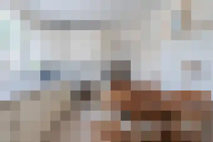 Koppenhoek 9 Eersel thumbnail 19