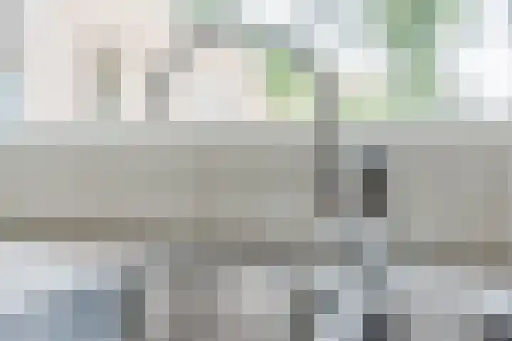 Koppenhoek 9 Eersel thumbnail 21