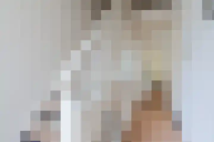 Koppenhoek 9 Eersel thumbnail 35
