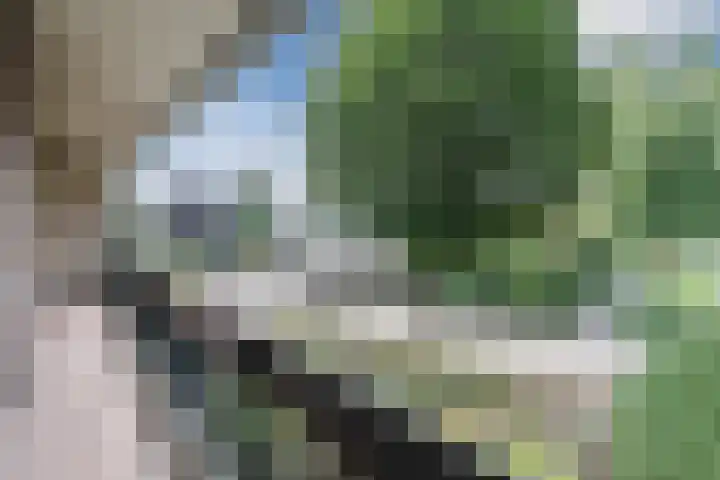 Koppenhoek 9 Eersel thumbnail 42