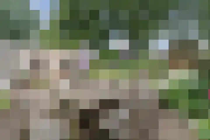 Koppenhoek 9 Eersel thumbnail 45