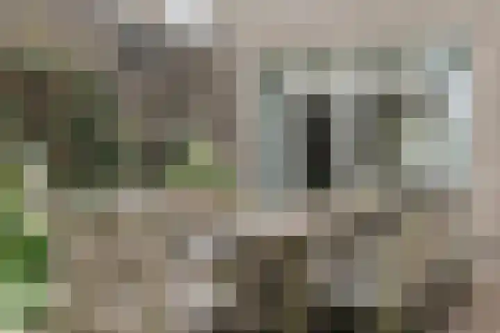 Koppenhoek 9 Eersel thumbnail 46