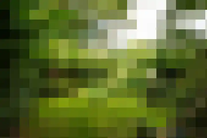 Koppenhoeve 37 Wognum thumbnail 36