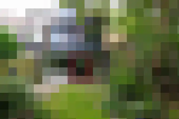 Koppenhoeve 37 Wognum thumbnail 37