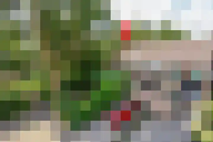 Koppenhoeve 37 Wognum thumbnail 49