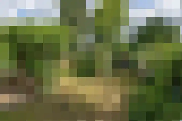 Koppenlaan 1 Soesterberg thumbnail 15