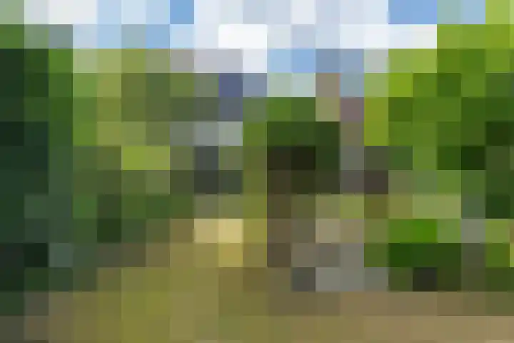 Koppenlaan 1 Soesterberg thumbnail 17