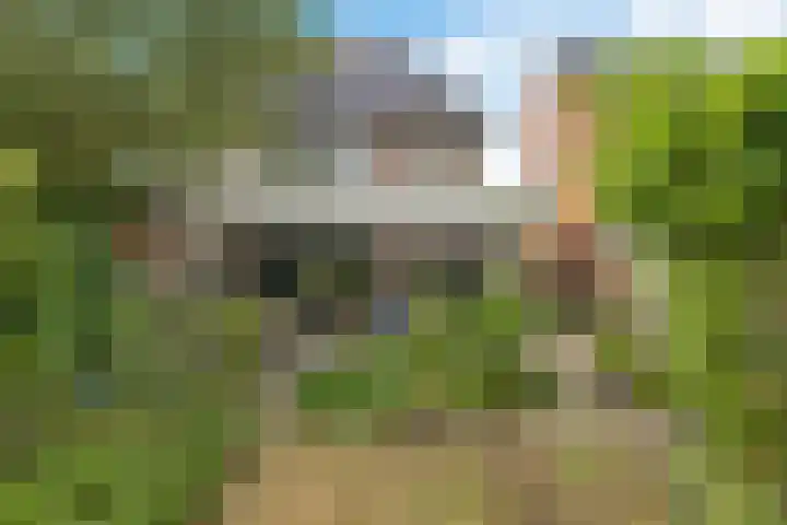 Koppenlaan 1 Soesterberg thumbnail 18