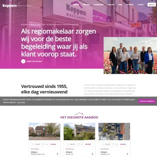 Screenshot of the website of www.koppers.nl