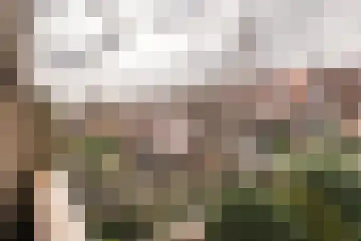 Koppestokstraat 21 Haarlem thumbnail 38