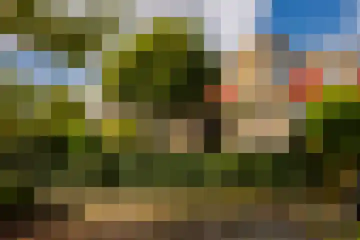 Kopslaan 26 in Santpoort-Zuid